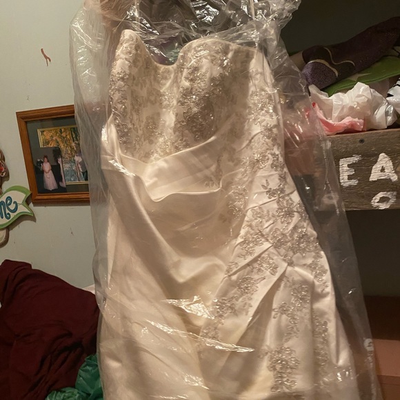 bridesmaid dresses size 24